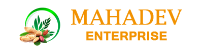 Mahadev Enterprise